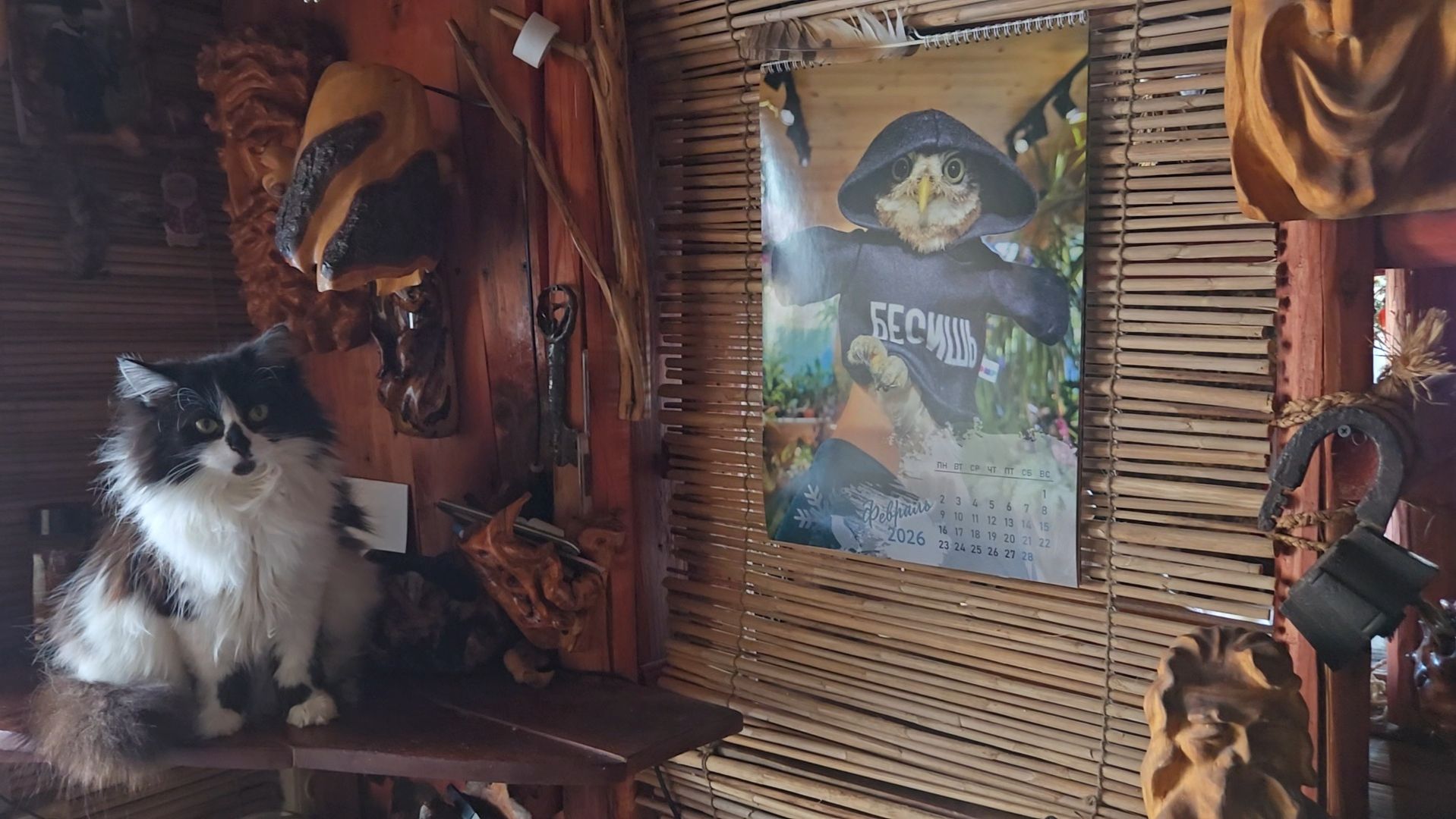 Хрустальные деревья, игривые питомцы и приятная работа под монолог о бассейне "Москва" смотреть онлайн