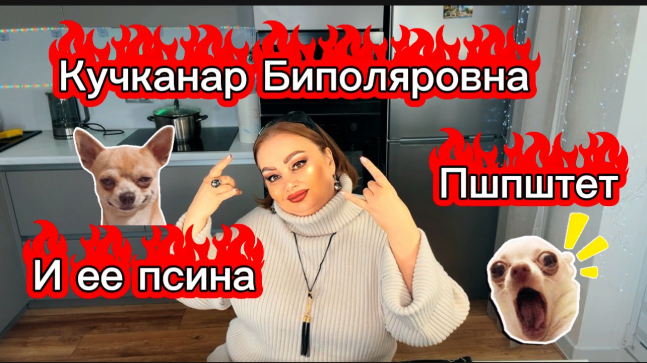 Угонщик лодок-лодочник Фуфел Падлыч и Коуч по планированию отдыха Кучандра Биполяровна travel coach смотреть онлайн