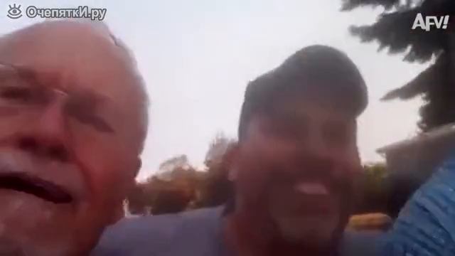 Неожиданности и приколы с людьми и животными