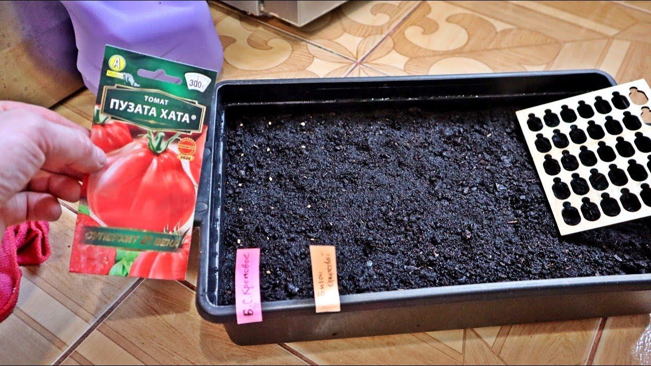 Что сажать в феврале на рассаду из овощей, зелени и цветов? Зимний старт для летнего урожая! смотреть онлайн