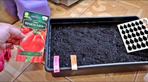 Что сажать в феврале на рассаду из овощей, зелени и цветов? Зимний старт для летнего урожая!