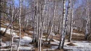 Борис Пастернак Единственные дни Читает Анатолий Алымов