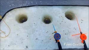 Хороший клёв,не плохие экземпляры!часть 2