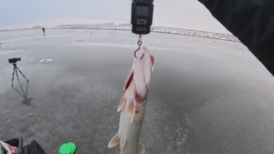 Первый лёд 2025-2026