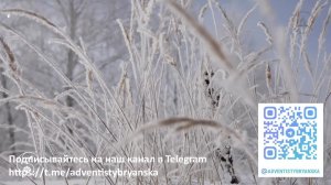 Субботнее богослужение 07.02.2026 //Чего не знали распинавшие Христа?// Глотов Андрей // адвентисты