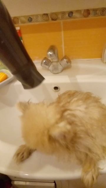 Такая вымытость пропадает!