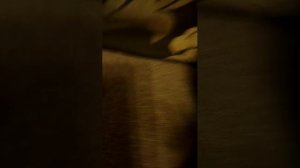 огурец плюс Г.Д.