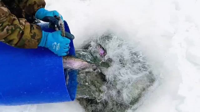 Запуск 168 кг от 07.02.26