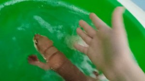 купаю Милку и Тофи✌️