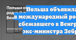 Польша объявила в международный розыск сбежавшего в Венгрию экс-министра Зебро