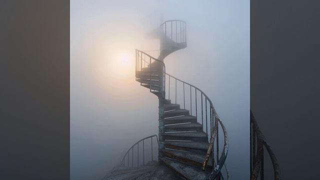 Путь к мудрости (стих) #Саша_Питерской