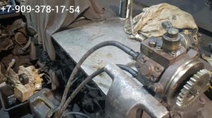 Газель Камминз, не торопитесь с выводами