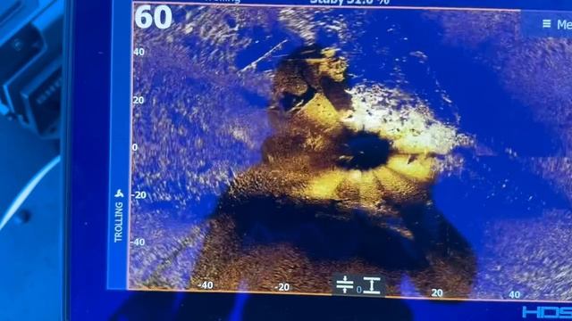 Live 360 active target 2 XL