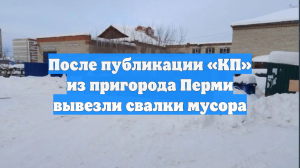 После публикации «КП» из пригорода Перми вывезли свалки мусора