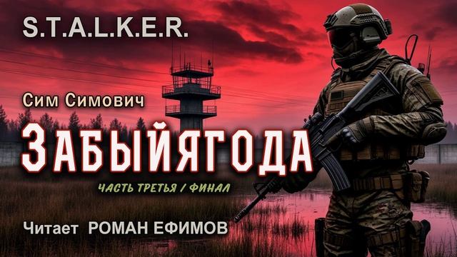 S.T.A.L.K.E.R. Забыйягода (аудиокнига). Часть 3. Финал. ФАНТАСТИКА. Читает Роман Ефимов. смотреть онлайн