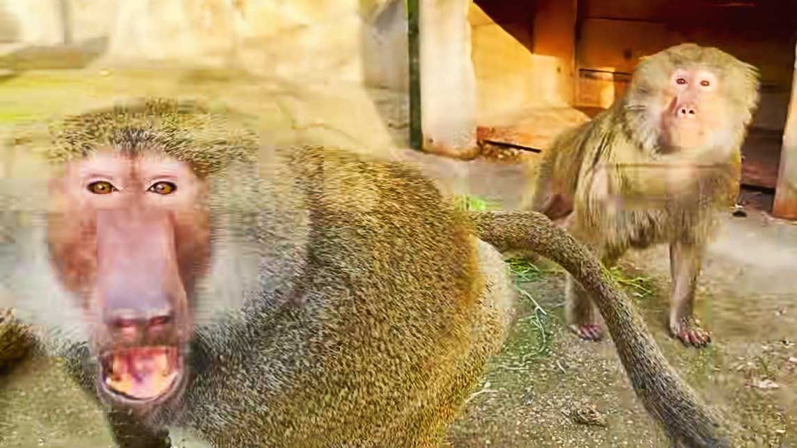 ЗАСТАВЛЯЕТ ревновать! К умным или к красивым? Веня только делает ЗЛОЙ вид и Фене это нравится! смотреть онлайн