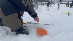 Поимки форели