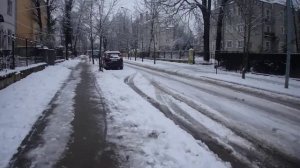 Калининград Каштановая аллея до проспекта Победы