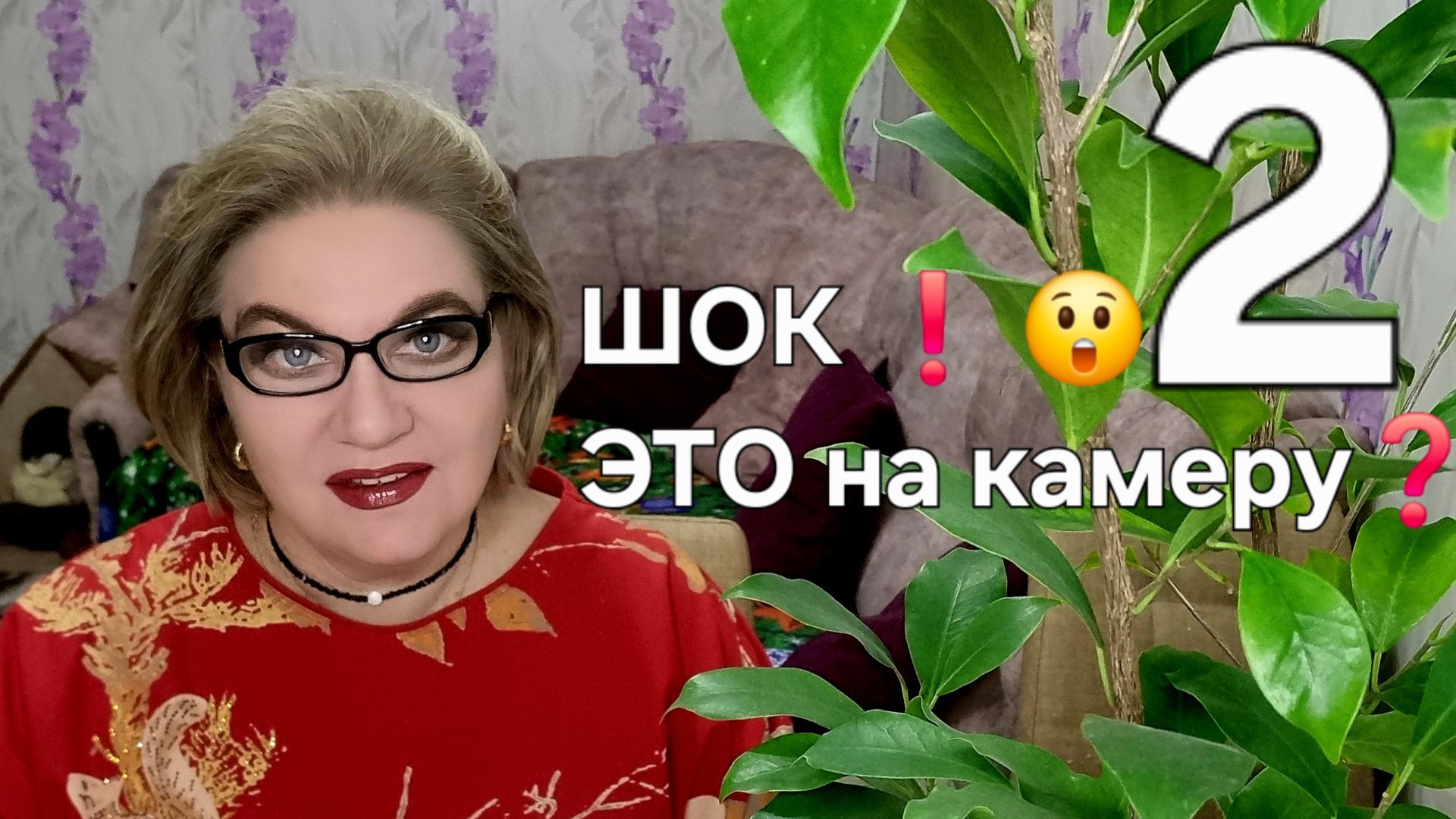 ШОК❗😮ЭТО на камеру❓ смотреть онлайн