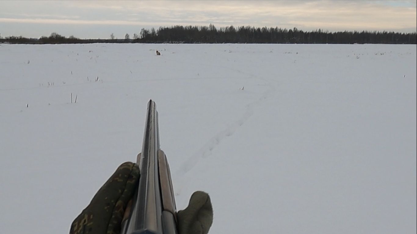 охота с Добычем на лисицу 06.02.2026. смотреть онлайн