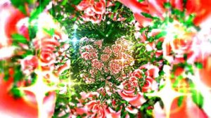 Футажи!!! Видеофоны!!! Футаж Феерия из Роз 9 от Киностудии Мудрого Кота Тимофея!!!