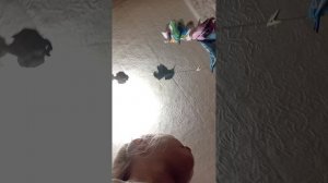 следим. за. мамой