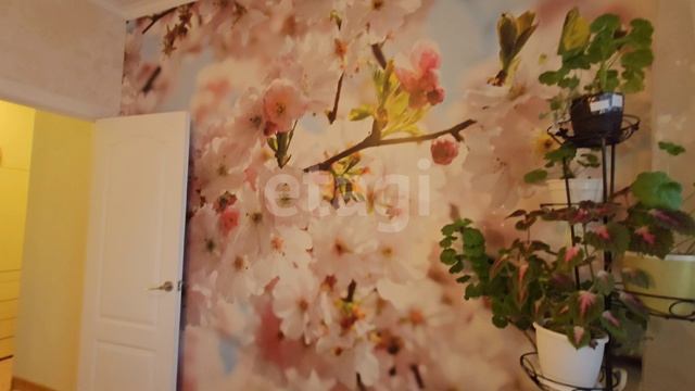 2009509 Островского 9/1