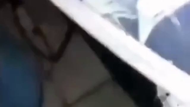 Это ловушка