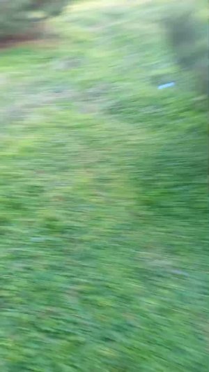 Обзор на полянку