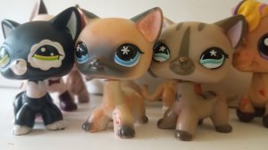 опенинг к сериалу сумерки 1 часть