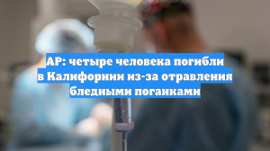 Ассошиэйтед Пресс: В Калифорнии четыре человека погибли от ядовитых грибов