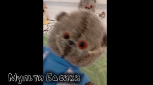 Басики...НАЧАЛО | Подпишись