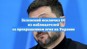 Зеленский исключил ЕС из наблюдателей за прекращением огня на Украине