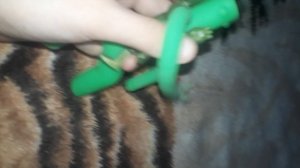 семья зелёных 1 часть