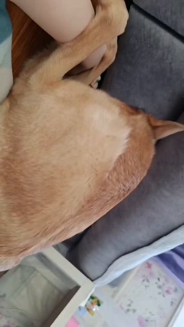 Занимаемся йогой💪😁😎