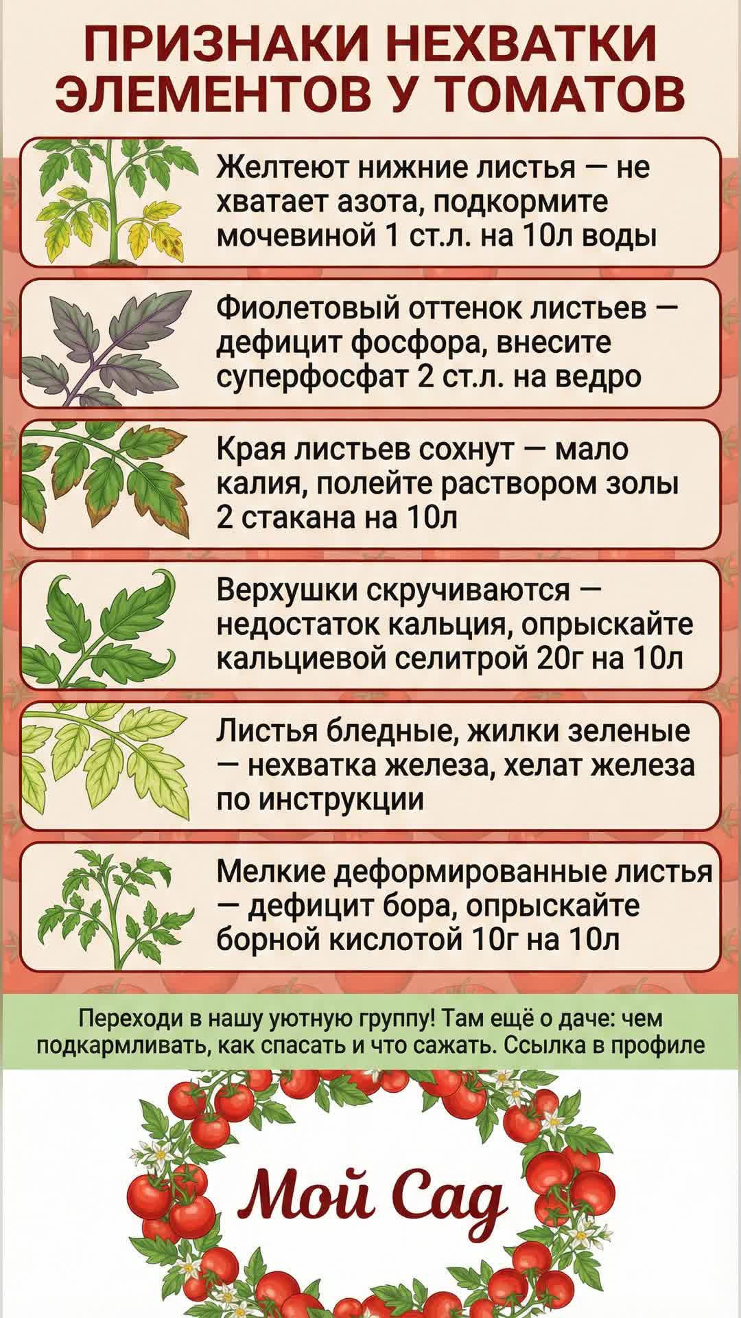 Как определить нехватку элементов у томатов