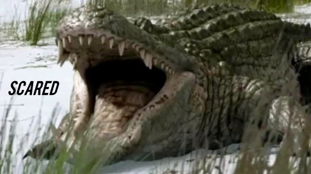 Three Days Grace - Scared смотреть онлайн