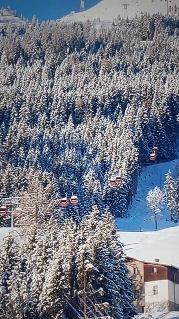 НАСТОЯЩИЙ ЗИМНИЙ ПЕЙЗАЖ