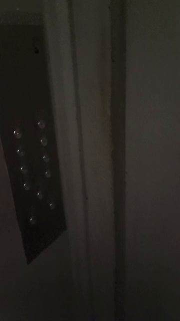 document_5204143342065062305