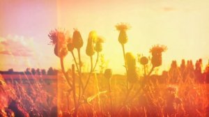 Sun Glitters - Eventide (feat. Niva & Charlee)