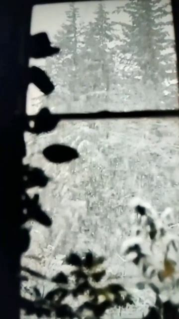 Иван Бунин На окне серебренном от инея…. Читает Резникова. Ю.