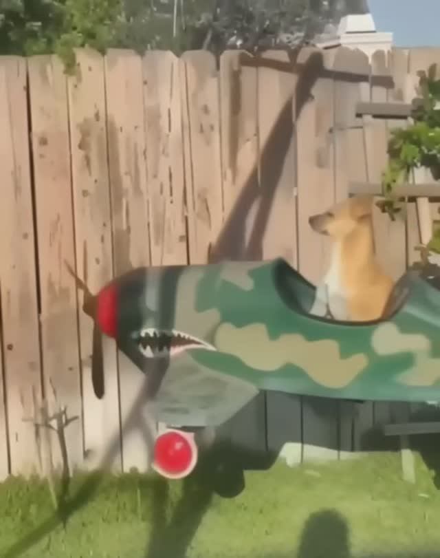 Поехали на выходные! 🙂