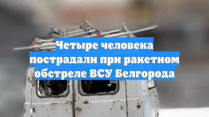 В Белгородской области при ракетном ударе ВСУ пострадали четыре человека