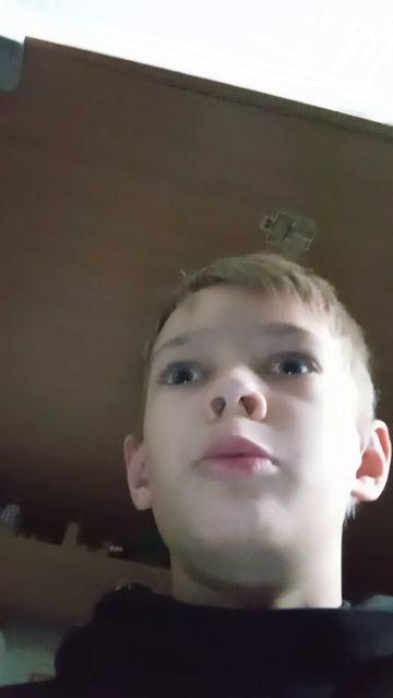 еду в елабугу