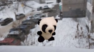 Панда... 1 часть жуткая встреча с пандой