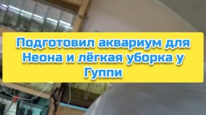 Подготовил аквариум для Неона и лёгкая уборка у Гуппи