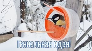 Почему я Раньше до этого не додумался, Как сделать Кормушку для птиц за 3 минуты!