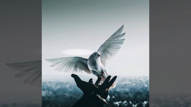 Garik Garik Снится мне сон...😉 смотреть онлайн