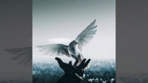 Garik Garik  Снится мне сон...😉