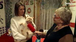 Клуб Шико. Выпуск от 07.02.26